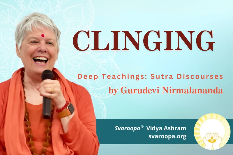 Clinging 6/15/25