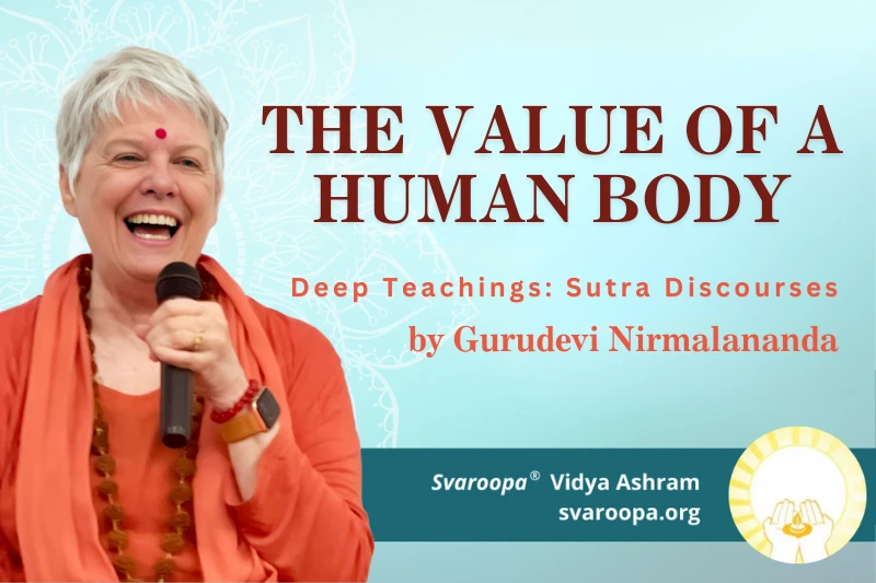 The Value of a Human Body 8/20/25