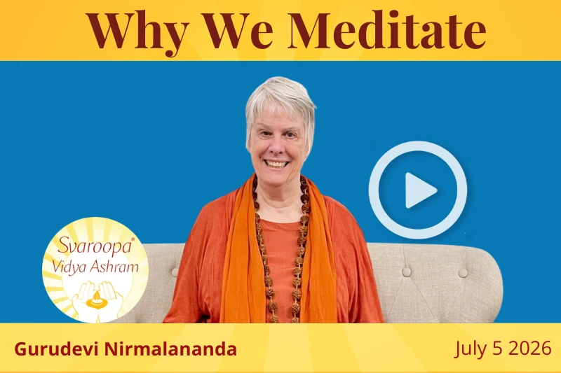Why We Meditate