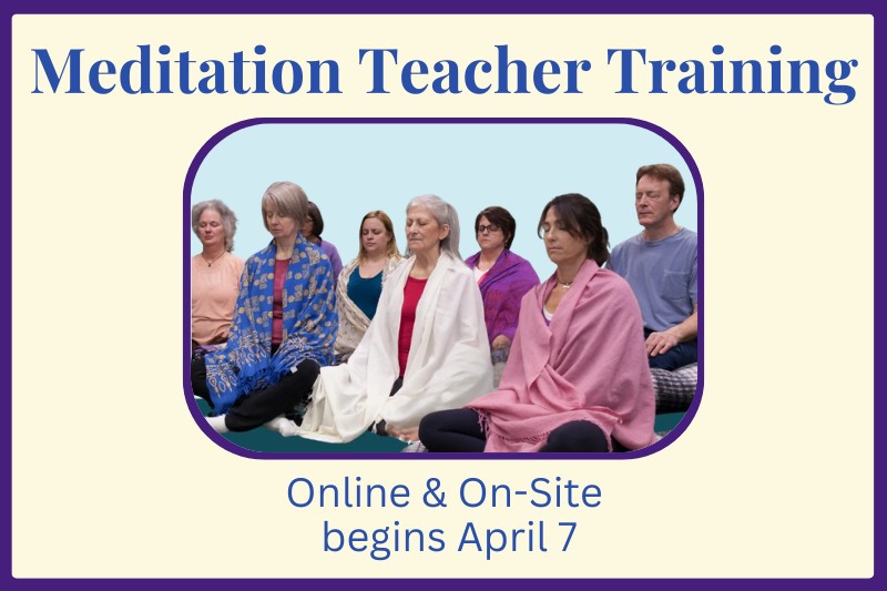 Meditation Teacher Training